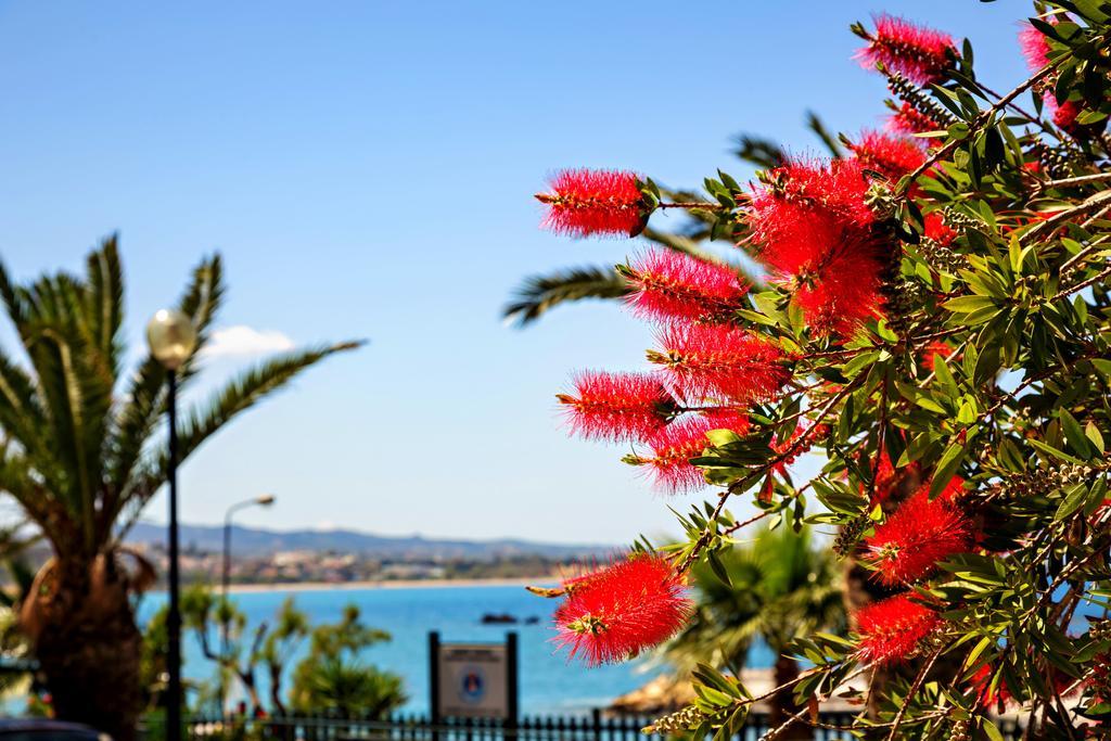 Stam'S Paradise Apartment Chania  ภายนอก รูปภาพ